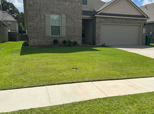 Sherrelynn R.'s lawn care service result