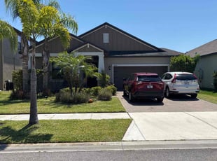 Paul L.'s lawn care service result