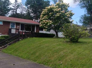 Deborah S.'s lawn maintenance service result