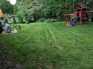 Jim B.'s grass cutting service result
