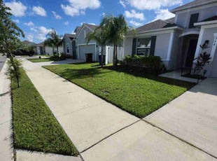 Andrew B.'s landscaping service result