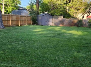 Tonya R.'s lawn service service result