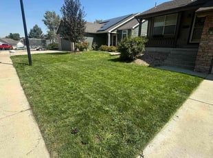 Raven M.'s lawn care services service result