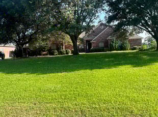 Kathy L.'s lawn maintenance service result
