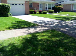 Lee A.'s lawn service service result