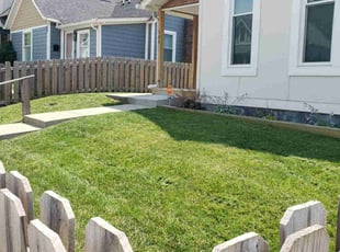 Jeanne F.'s turf care service result