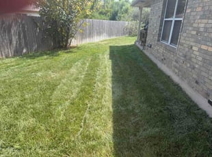 Antwan H.'s turf care service result