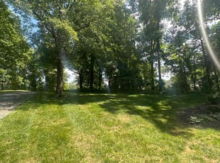 Brian D.'s grass maintenance service result