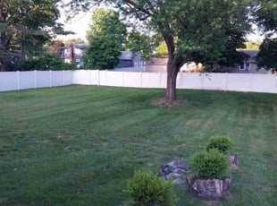 Rebecca R.'s grass maintenance service result