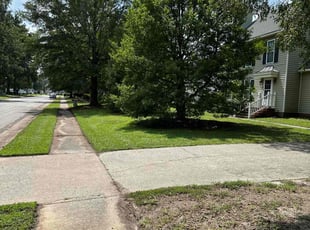 Clarence T.'s lawn care service result