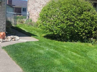 Matthew B.'s turf maintenance service result