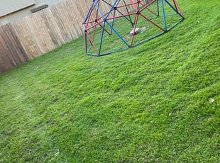 Laura D.'s lawn maintenance service result