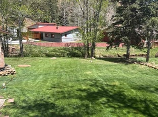 Patrick O.'s lawn service service result