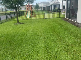 Sheri W.'s lawn service service result