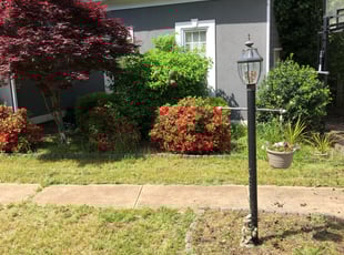 James G.'s Bush Trimming service result