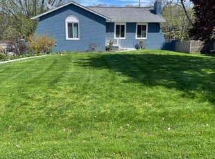 Kareem A.'s turf maintenance service result