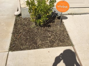 Donald C.'s Flower Bed Weeding service result