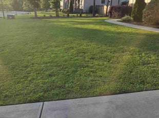 Anthony H.'s grass cutting service result