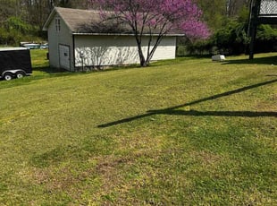 Richard G.'s lawn maintenance service result
