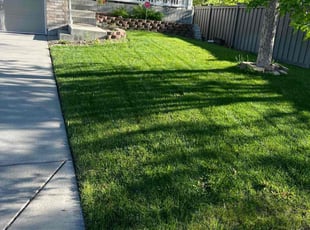 Juan A.'s lawn care services service result