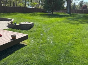 Chanda T.'s lawn care service result