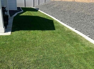 Jose G.'s lawn care services service result