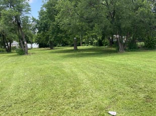 Leann L.'s turf care service result