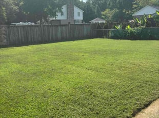 Danielle R.'s lawn care service result