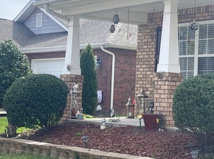 Penny S.'s Bush Trimming service result