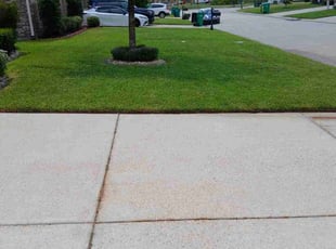 Suzette R.'s lawn care services service result