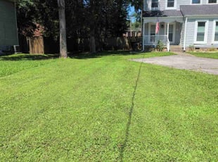 Melinda W.'s turf maintenance service result