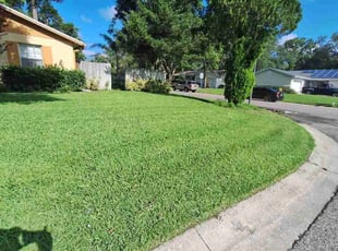 KIM D.'s turf maintenance service result