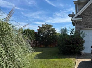 Cathy S.'s turf maintenance service result