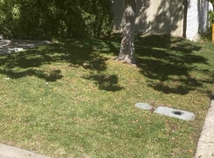 harold C.'s grass maintenance service result