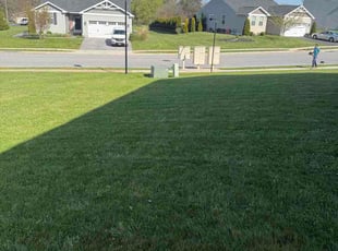 Todd B.'s lawn care service result