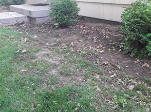 Paul R.'s Bush Trimming service result