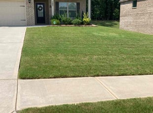 Michelle P.'s lawn service service result