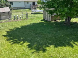 Tausa B.'s lawn care service result