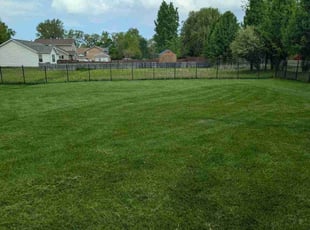 Michael P.'s lawn care services service result