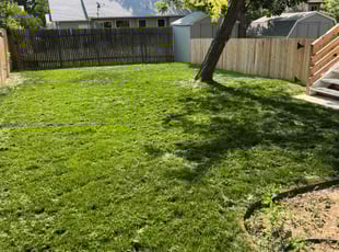 Thuan T.'s grass maintenance service result