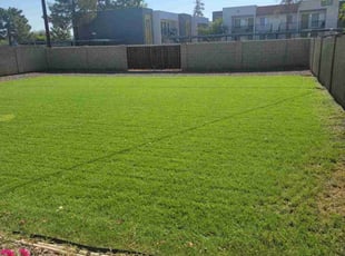 Brenda L.'s grass maintenance service result