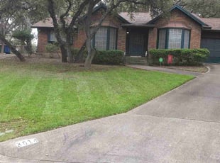 Patrick T.'s lawn maintenance service result