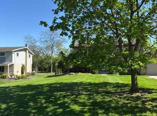 Opal D.'s lawn care service result