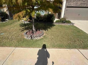 Jennifer H.'s lawn service service result