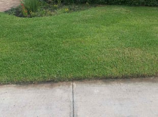 Mark T.'s grass cutting service result