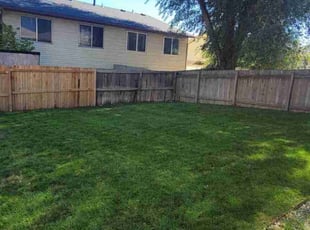 Randy B.'s turf care service result