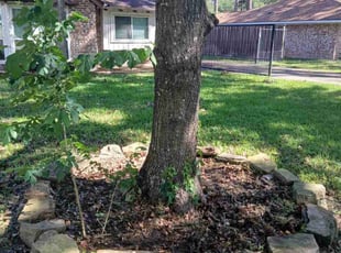 Tamika W.'s Flower Bed Weeding service result