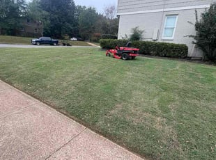 Lindsay G.'s grass cutting service result