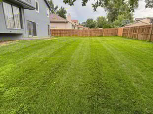 Peggy M.'s turf care service result