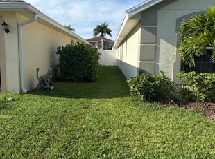 Manley M.'s lawn care services service result